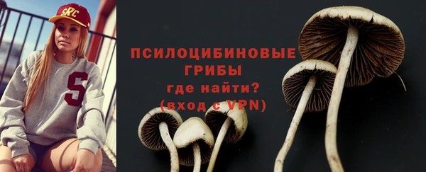 Альфа ПВП Белокуриха