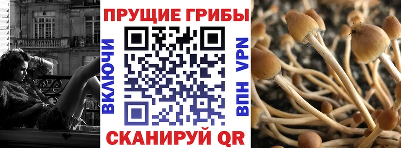 даркнет сайт  Неман  Псилоцибиновые грибы ЛСД 